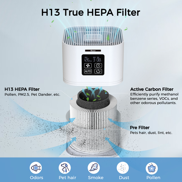Purificateur d'air 2 en 1 & Diffuseur d'arômes