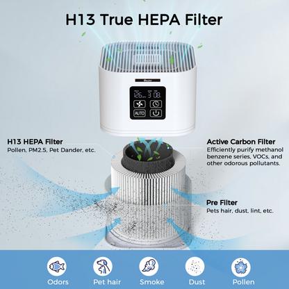 Purificateur d'air 2 en 1 & Diffuseur d'arômes