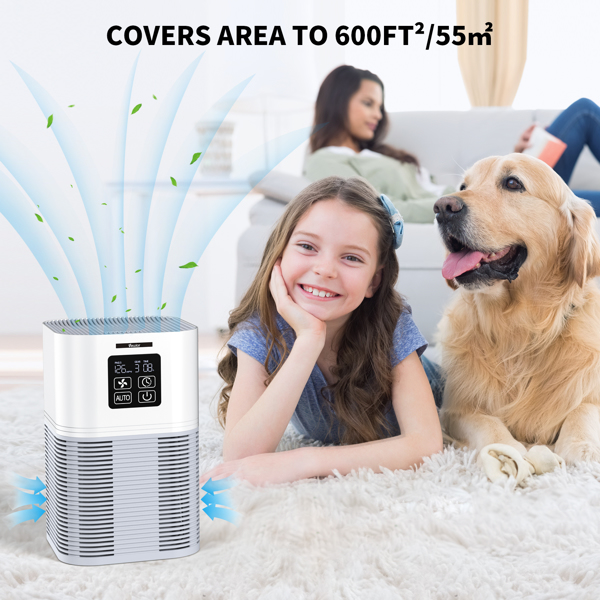 Purificateur d'air 2 en 1 & Diffuseur d'arômes