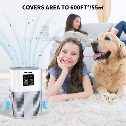 Purificateur d'air 2 en 1 & Diffuseur d'arômes