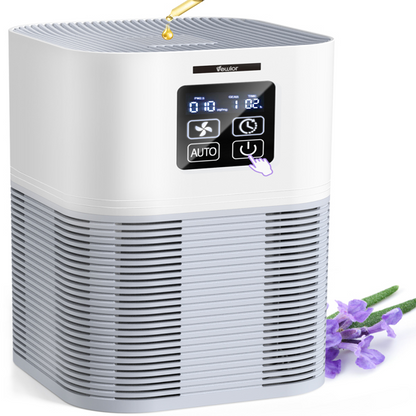 Purificateur d'air 2 en 1 & Diffuseur d'arômes